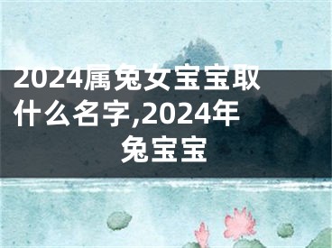 2024属兔女宝宝取什么名字,2024年兔宝宝