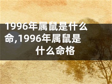 1996年属鼠是什么命,1996年属鼠是什么命格