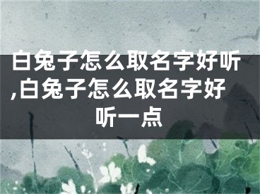 白兔子怎么取名字好听,白兔子怎么取名字好听一点