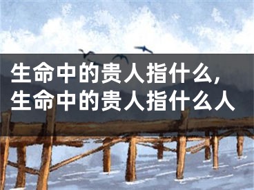 生命中的贵人指什么,生命中的贵人指什么人