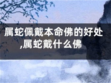 属蛇佩戴本命佛的好处,属蛇戴什么佛