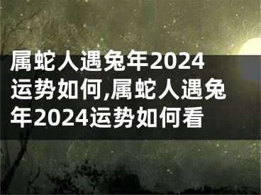 属蛇人遇兔年2024运势如何,属蛇人遇兔年2024运势如何看