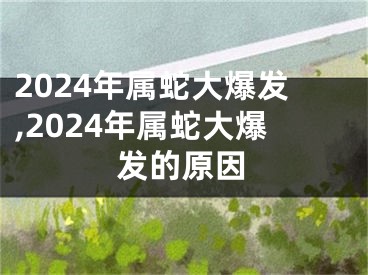 2024年属蛇大爆发,2024年属蛇大爆发的原因
