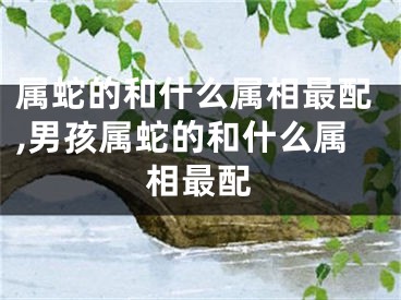 属蛇的和什么属相最配,男孩属蛇的和什么属相最配