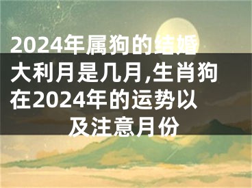 2024年属狗的结婚大利月是几月,生肖狗在2024年的运势以及注意月份