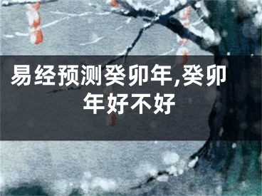 易经预测癸卯年,癸卯年好不好