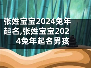 张姓宝宝2024兔年起名,张姓宝宝2024兔年起名男孩