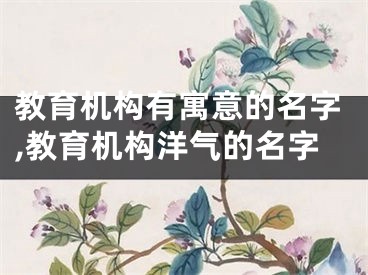 教育机构有寓意的名字,教育机构洋气的名字