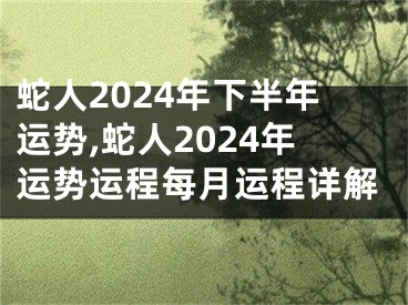 蛇人2024年下半年运势,蛇人2024年运势运程每月运程详解