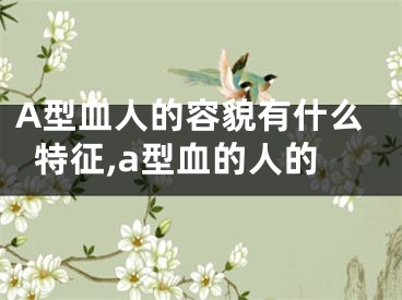 A型血人的容貌有什么特征,a型血的人的
