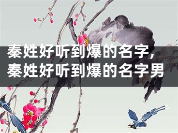 秦姓好听到爆的名字,秦姓好听到爆的名字男