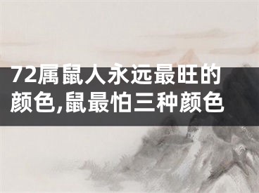 72属鼠人永远最旺的颜色,鼠最怕三种颜色