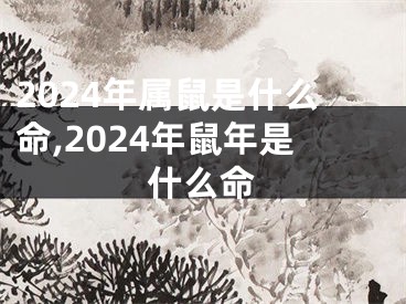 2024年属鼠是什么命,2024年鼠年是什么命