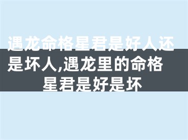 遇龙命格星君是好人还是坏人,遇龙里的命格星君是好是坏