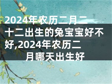 2024年农历二月二十二出生的兔宝宝好不好,2024年农历二月哪天出生好