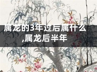 属龙的3年过后属什么,属龙后半年