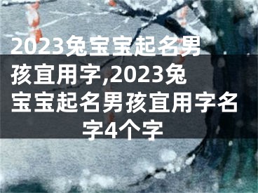 2023兔宝宝起名男孩宜用字,2023兔宝宝起名男孩宜用字名字4个字