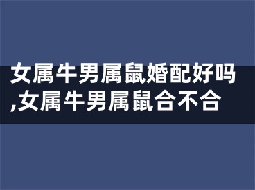女属牛男属鼠婚配好吗,女属牛男属鼠合不合
