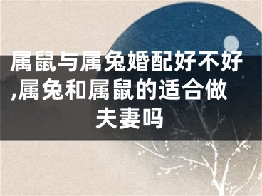 属鼠与属兔婚配好不好,属兔和属鼠的适合做夫妻吗