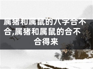 属猪和属鼠的八字合不合,属猪和属鼠的合不合得来