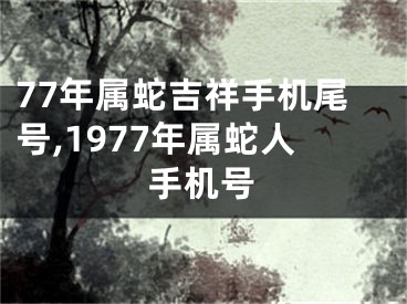 77年属蛇吉祥手机尾号,1977年属蛇人手机号