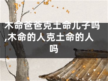木命爸爸克土命儿子吗,木命的人克土命的人吗