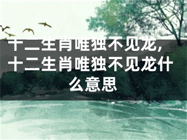 十二生肖唯独不见龙,十二生肖唯独不见龙什么意思