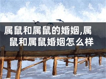 属鼠和属鼠的婚姻,属鼠和属鼠婚姻怎么样