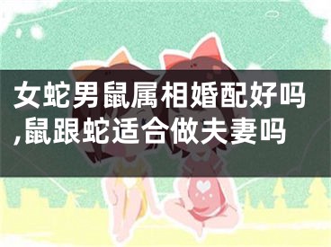 女蛇男鼠属相婚配好吗,鼠跟蛇适合做夫妻吗