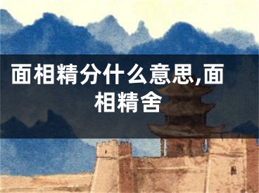 面相精分什么意思,面相精舍