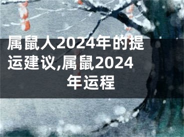 属鼠人2024年的提运建议,属鼠2024年运程