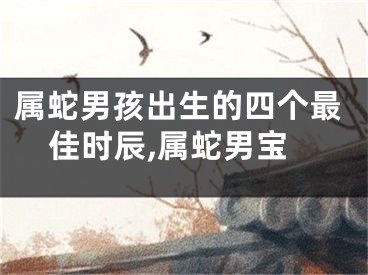 属蛇男孩出生的四个最佳时辰,属蛇男宝