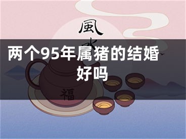 两个95年属猪的结婚好吗