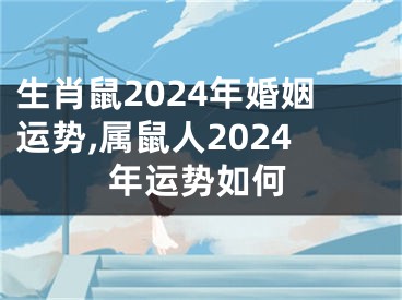 生肖鼠2024年婚姻运势,属鼠人2024年运势如何