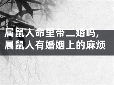 属鼠人命里带二婚吗,属鼠人有婚姻上的麻烦