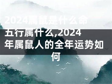 2024属鼠是什么命五行属什么,2024年属鼠人的全年运势如何