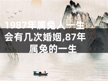 1987年属兔人一生会有几次婚姻,87年属兔的一生