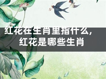 红花在生肖里指什么,红花是哪些生肖