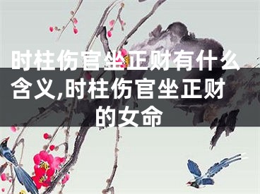 时柱伤官坐正财有什么含义,时柱伤官坐正财的女命