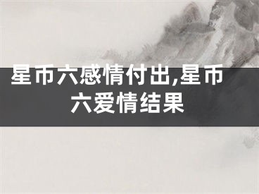 星币六感情付出,星币六爱情结果