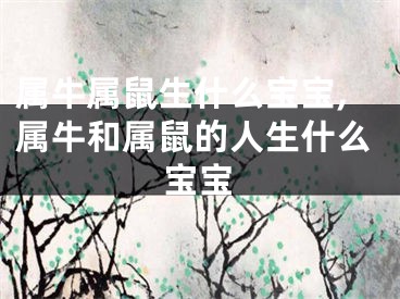 属牛属鼠生什么宝宝,属牛和属鼠的人生什么宝宝