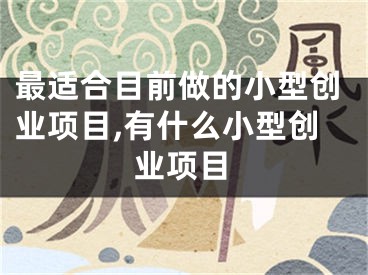 最适合目前做的小型创业项目,有什么小型创业项目