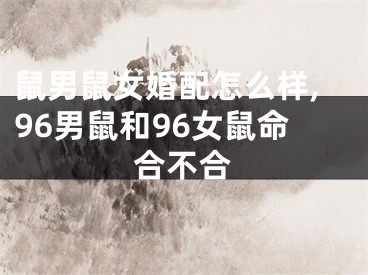 鼠男鼠女婚配怎么样,96男鼠和96女鼠命合不合