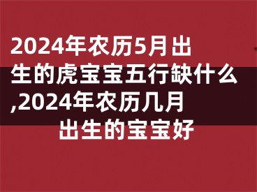 2024年农历5月出生的虎宝宝五行缺什么,2024年农历几月出生的宝宝好