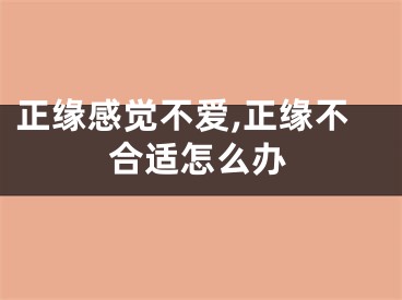 正缘感觉不爱,正缘不合适怎么办