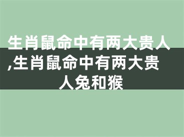 生肖鼠命中有两大贵人,生肖鼠命中有两大贵人兔和猴