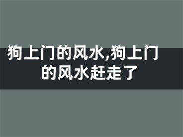 狗上门的风水,狗上门的风水赶走了