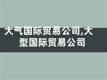 大气国际贸易公司,大型国际贸易公司