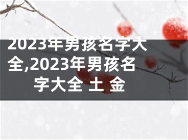 2023年男孩名字大全,2023年男孩名字大全 土 金