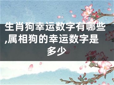 生肖狗幸运数字有哪些,属相狗的幸运数字是多少